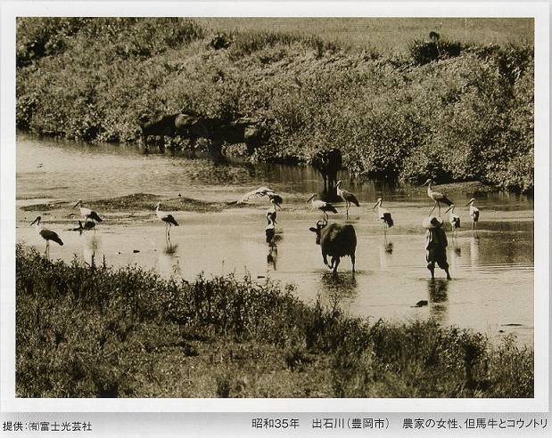 写真1(キャプションごと) 写真1(キャプションごと)