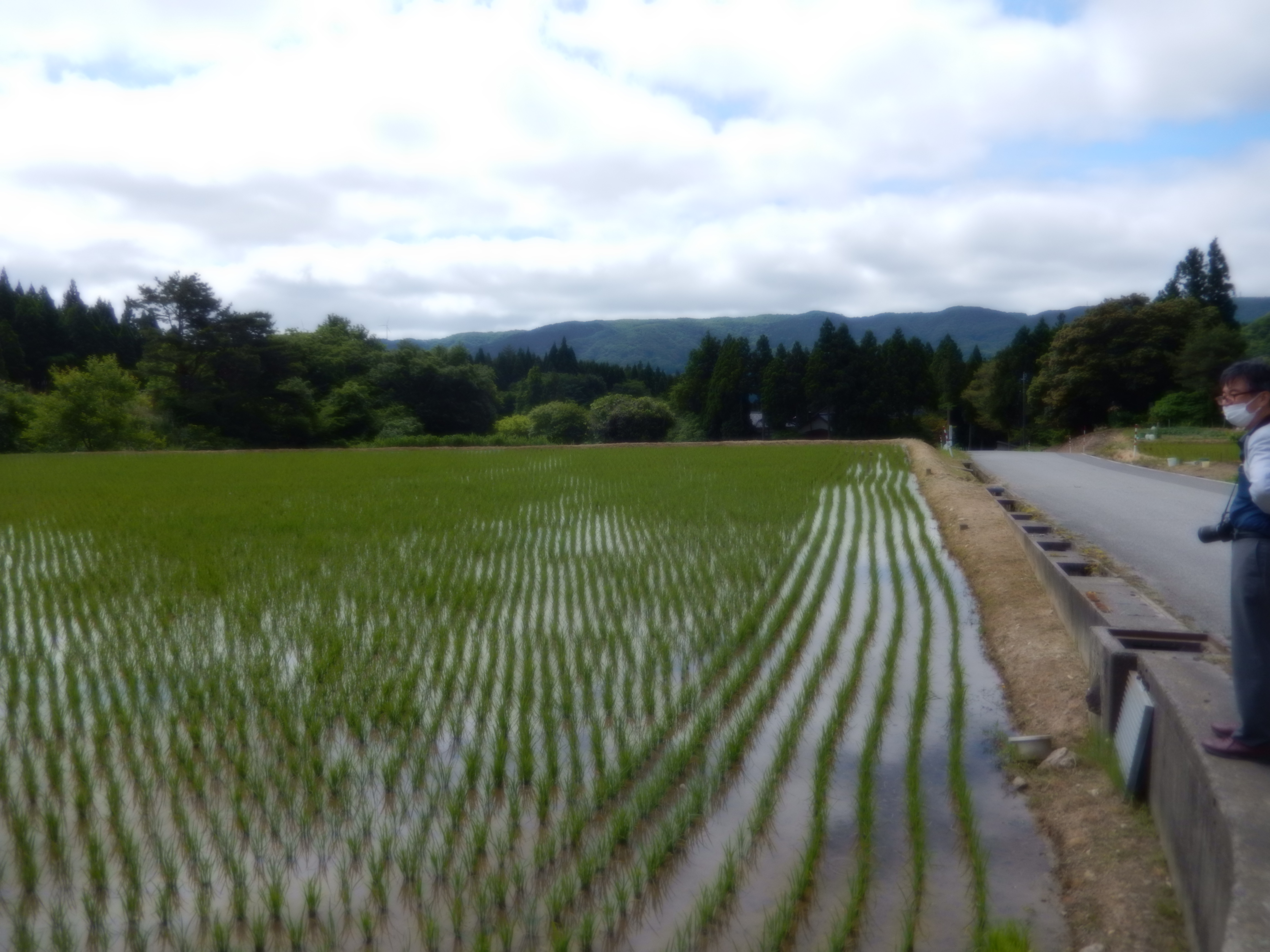 山間の小さな田んぼ