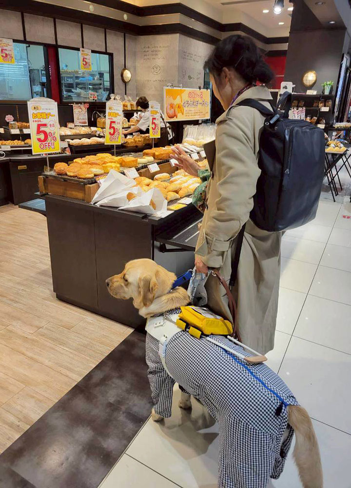 260224_犬2 260224_犬2